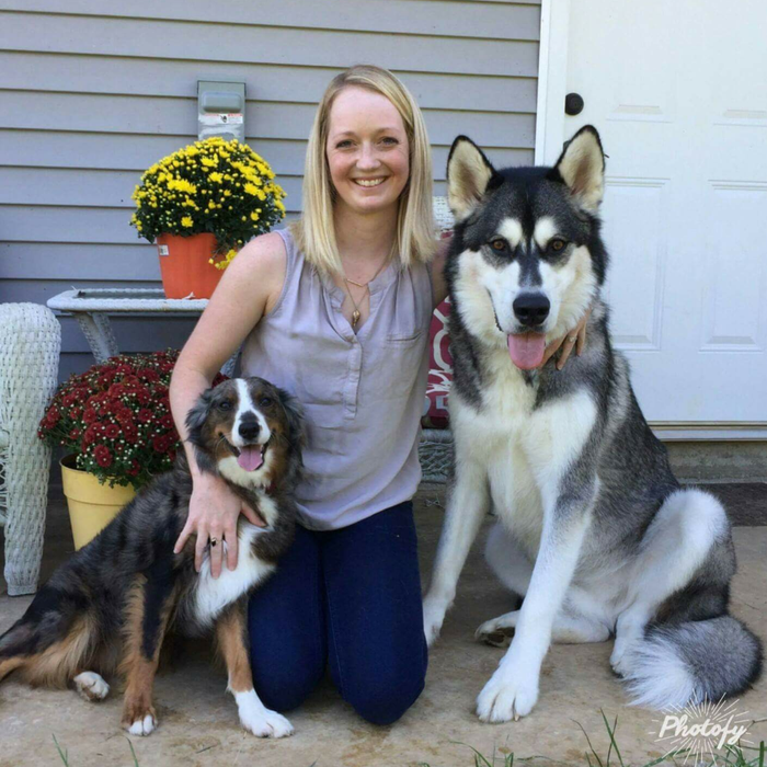 Meet the Team | Ceglinski Animal Clinic Meet the Team | Ceglinski Animal Clinic