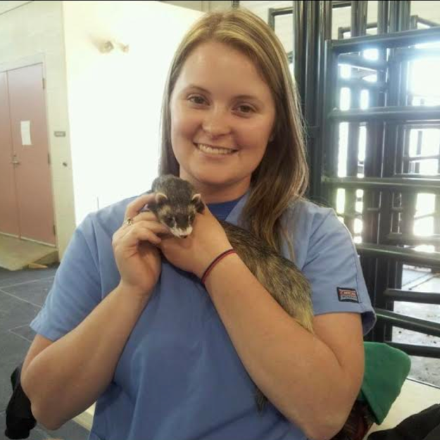 Meet the Team | Ceglinski Animal Clinic Meet the Team | Ceglinski Animal Clinic